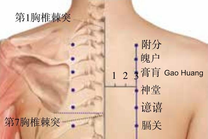 Akupunkt Gao Huang